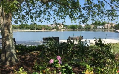 Newly Renovated Colonial Lake is Showstopper